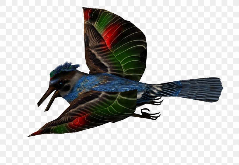 Beak Fauna Feather, PNG, 1114x772px, Beak, Bird, Fauna, Feather, Wing Download Free