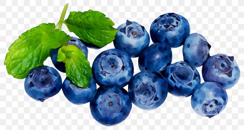 Blueberry Tea European Blueberry Superfood, PNG, 1632x869px, Blueberry Tea, Berries, Berry, Bilberry, Blue Download Free