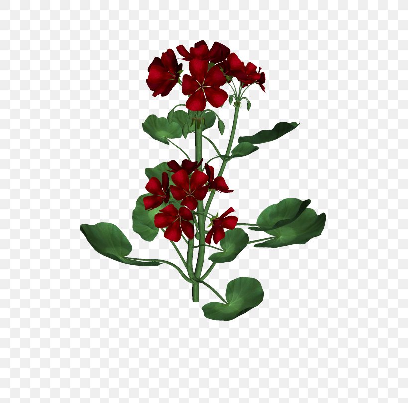 Cut Flowers Plant Stem Family M Invest D.o.o. Plants, PNG, 510x810px, Cut Flowers, Family M Invest Doo, Flower, Flowering Plant, Flowerpot Download Free