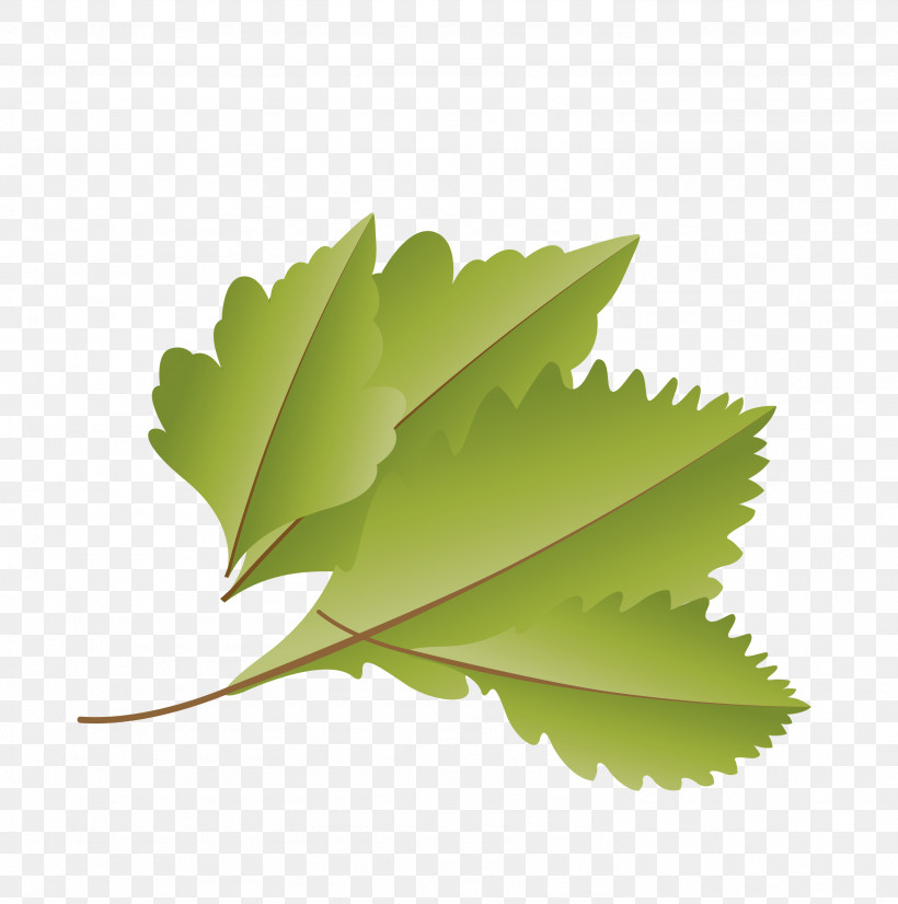 Leaf Green M-tree Tree Science, PNG, 2976x3000px, Autumn Leaf, Biology, Cartoon Leaf, Fall Leaf, Green Download Free