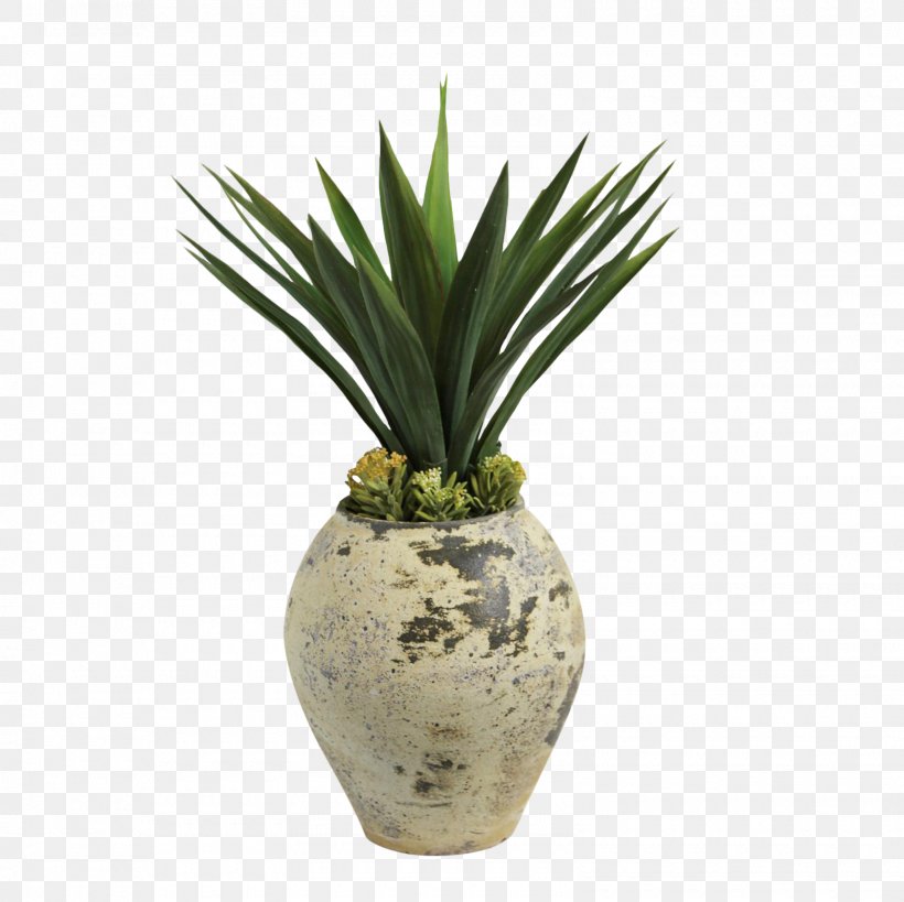 Agave Flowerpot INAV DBX MSCI AC WORLD SF, PNG, 1600x1600px, Agave, Flowerpot, Grass, Inav Dbx Msci Ac World Sf, Plant Download Free