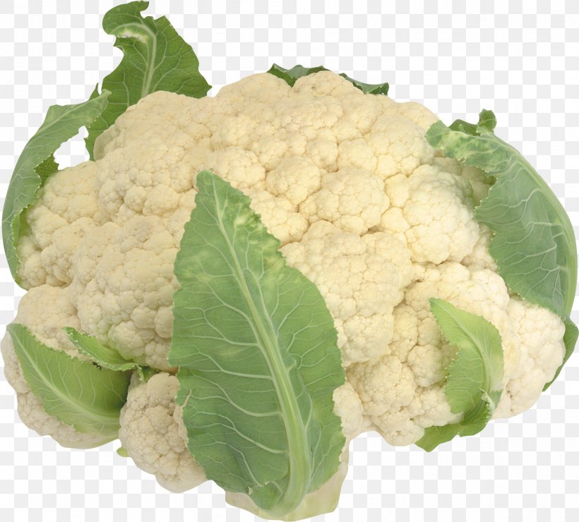 Cauliflower Clip Art, PNG, 1458x1317px, Cauliflower, Brassica Oleracea, Broccoli, Cabbage, Chinese Cabbage Download Free