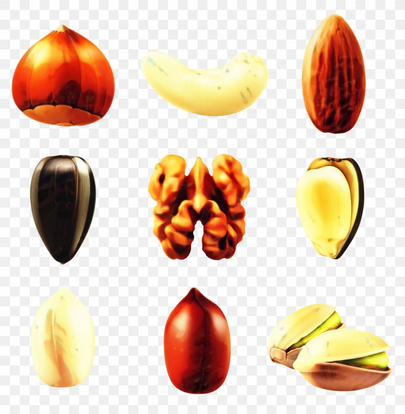 Fruit Cartoon, PNG, 2930x2997px, Nut, Almond, Cashew, Dried Fruit, Fruit Download Free