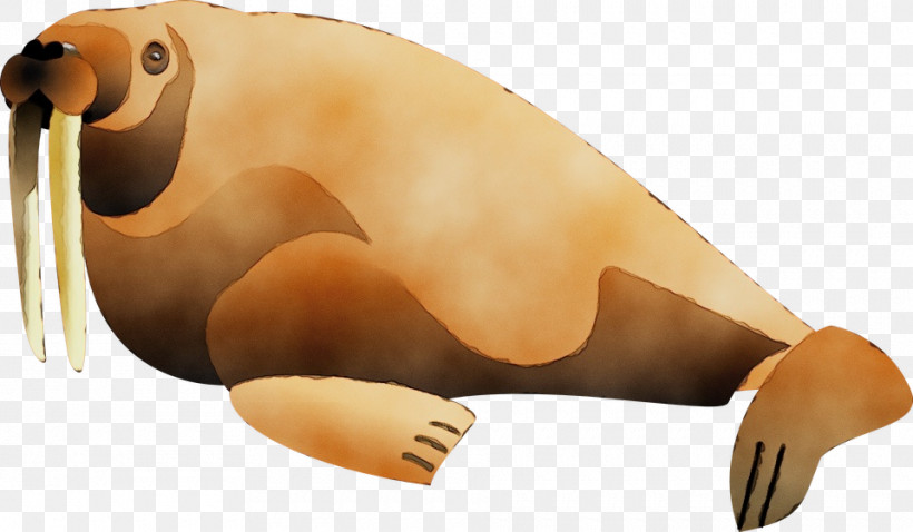 Seals Snout Beak Animal Figurine Biology, PNG, 960x560px, Watercolor, Animal Figurine, Beak, Biology, Paint Download Free