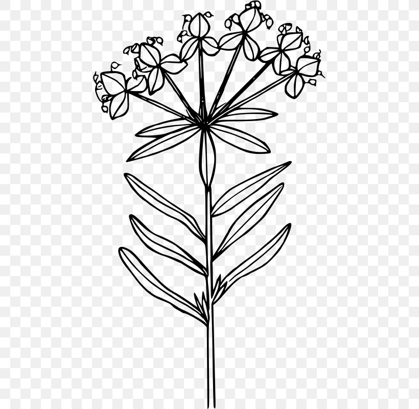 Wildflower Poppy Clip Art, PNG, 456x800px, Wildflower, Bed Sheets, Black And White, Branch, California Poppy Download Free