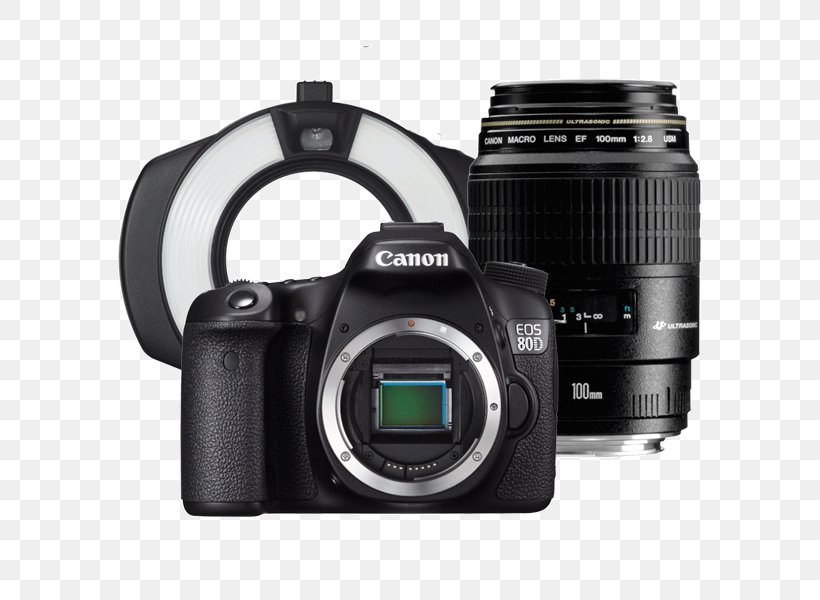 Canon EOS 6D Canon EOS 77D Canon EF-S 18–135mm Lens Canon EOS 70D Digital SLR, PNG, 600x600px, Canon Eos 6d, Camera, Camera Accessory, Camera Lens, Cameras Optics Download Free