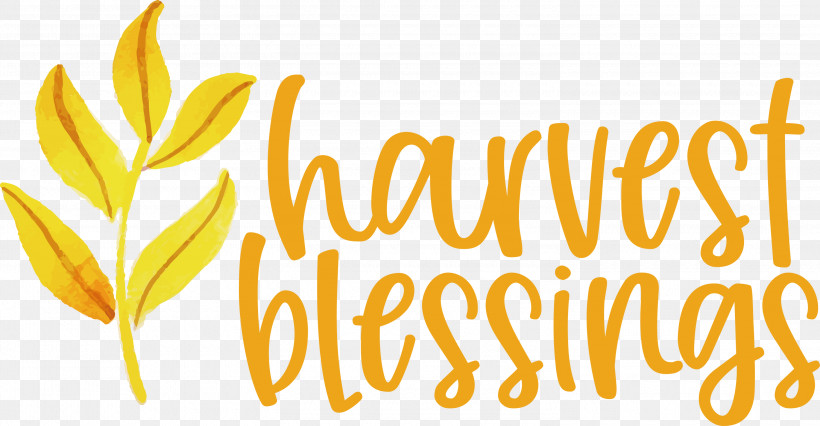 HARVEST BLESSINGS Harvest Thanksgiving, PNG, 3000x1561px, Harvest Blessings, Autumn, Commodity, Flower, Harvest Download Free