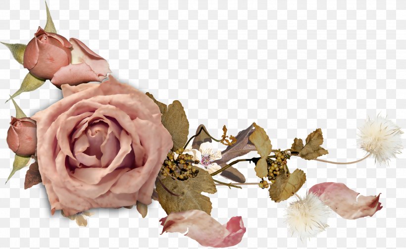 Cut Flowers Rose Desktop Wallpaper Floral Design, PNG, 2485x1526px, Flower, Cut Flowers, Floral Design, Floristry, Flower Arranging Download Free