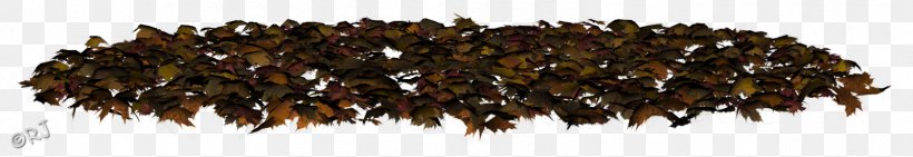 Tree Leaf Bit, PNG, 1600x276px, Tree, Autumn, Bit, Chinese Money Plant, Database Download Free
