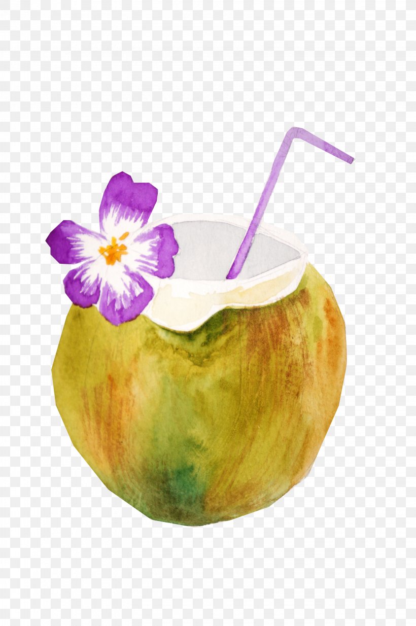 Coconut Milk Fruit Summer Drawing, PNG, 3264x4912px, Coconut Milk, Centimeter, Coconut, Coconut Water, Concepteur Download Free