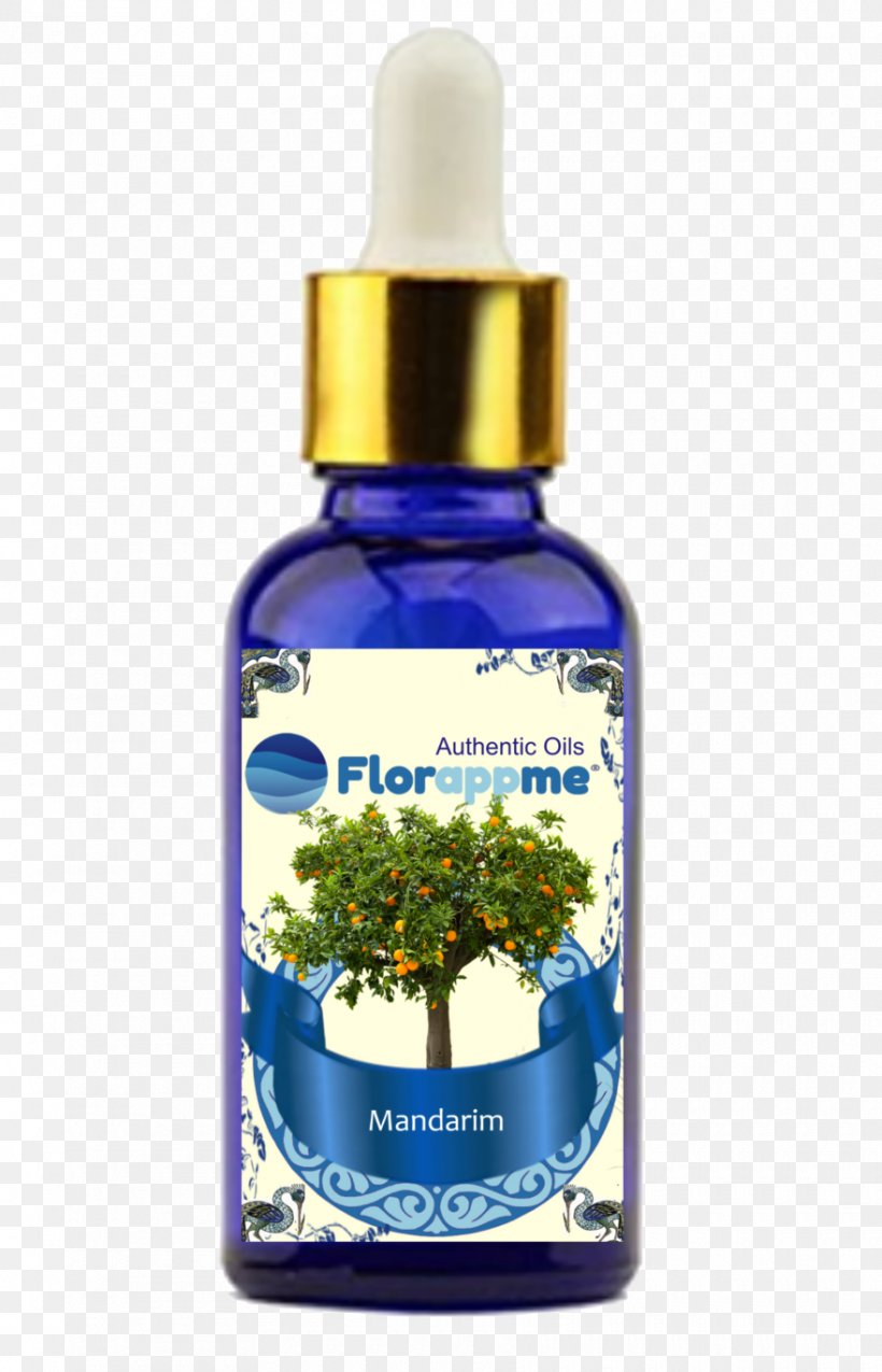 Essential Oil Aroma Agathosma Betulina Coriander Herb, PNG, 880x1369px, Essential Oil, Agathosma, Agathosma Betulina, Aroma, Coriander Download Free