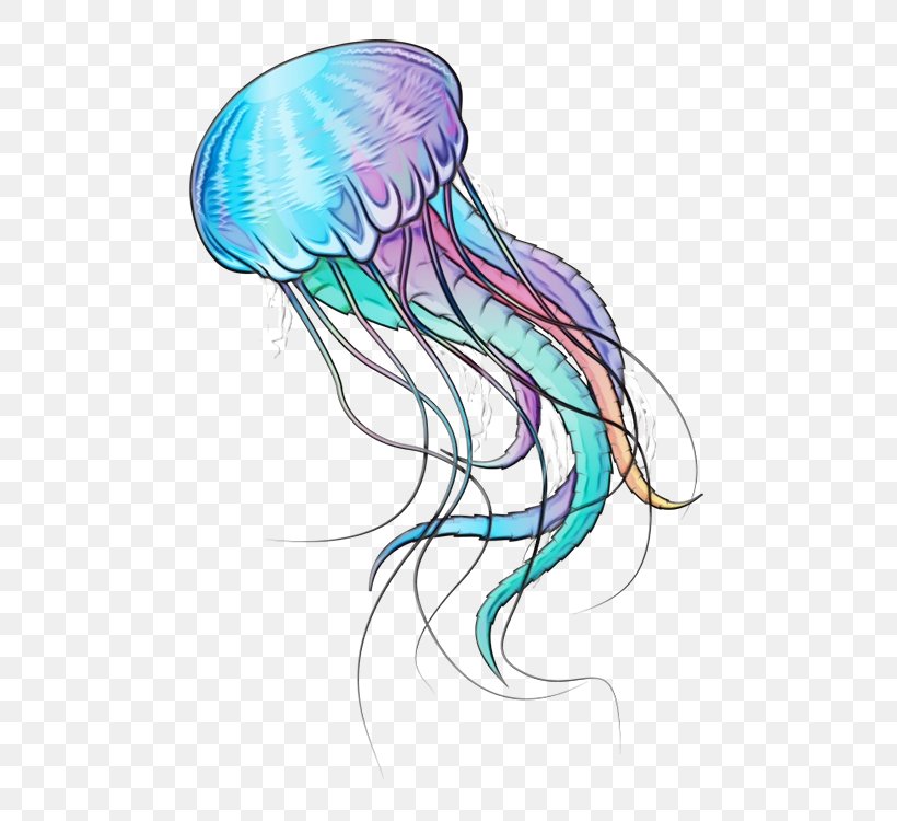 Mermaid Drawing, PNG, 500x750px, Jellyfish, Blog, Blue Jellyfish, Cnidaria, Drawing Download Free
