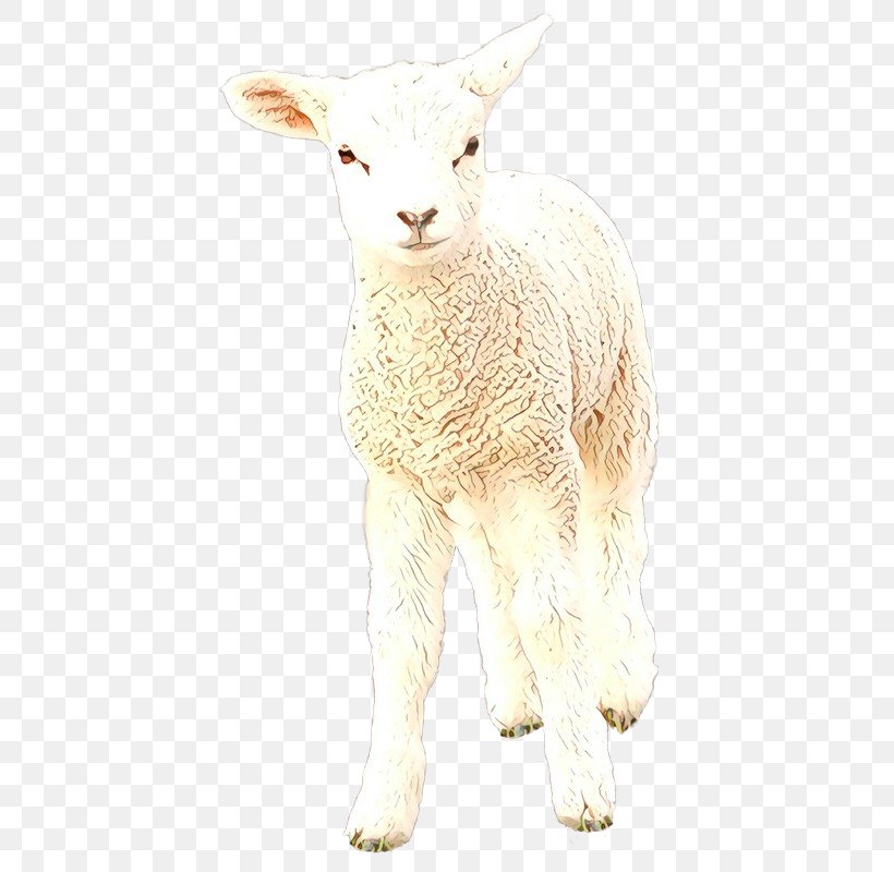 Sheep Cattle Hare Goat Mammal, PNG, 436x800px, Sheep, Alpaca, Animal, Animal Figure, Camel Download Free