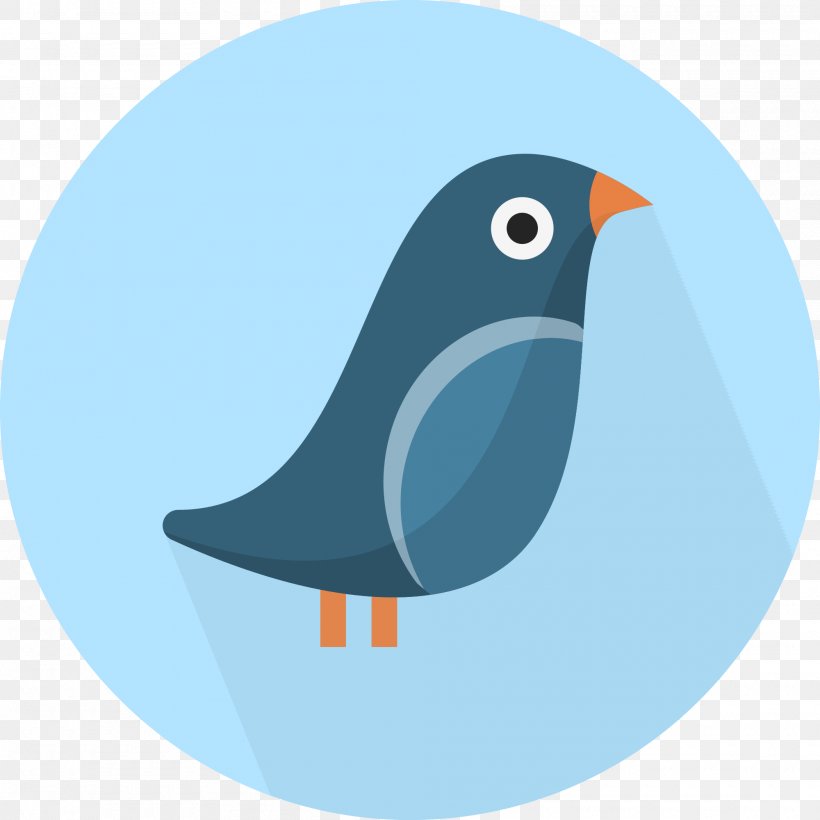 Bird, PNG, 2000x2000px, Bird, Animal, Beak, Bird Flight, Fauna Download Free