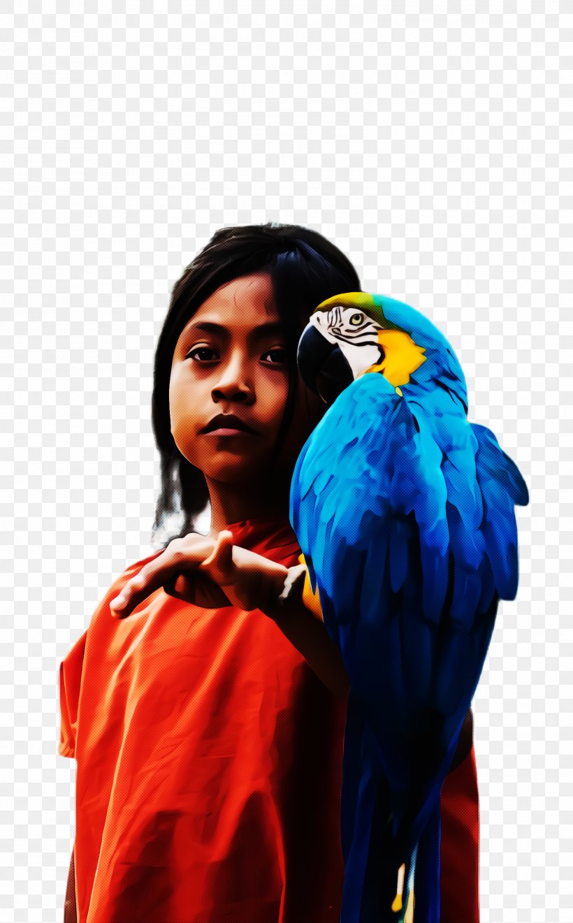 Bird Parrot, PNG, 1576x2540px, Macaw, Beak, Bird, Blue, Cobalt Download Free