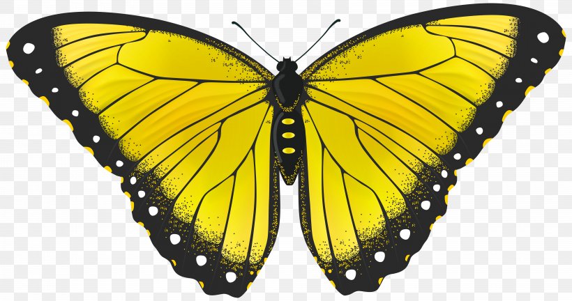 Butterfly Yellow Clip Art, PNG, 8000x4221px, Butterfly, Animal, Arthropod, Brush Footed Butterfly, Butterflies And Moths Download Free