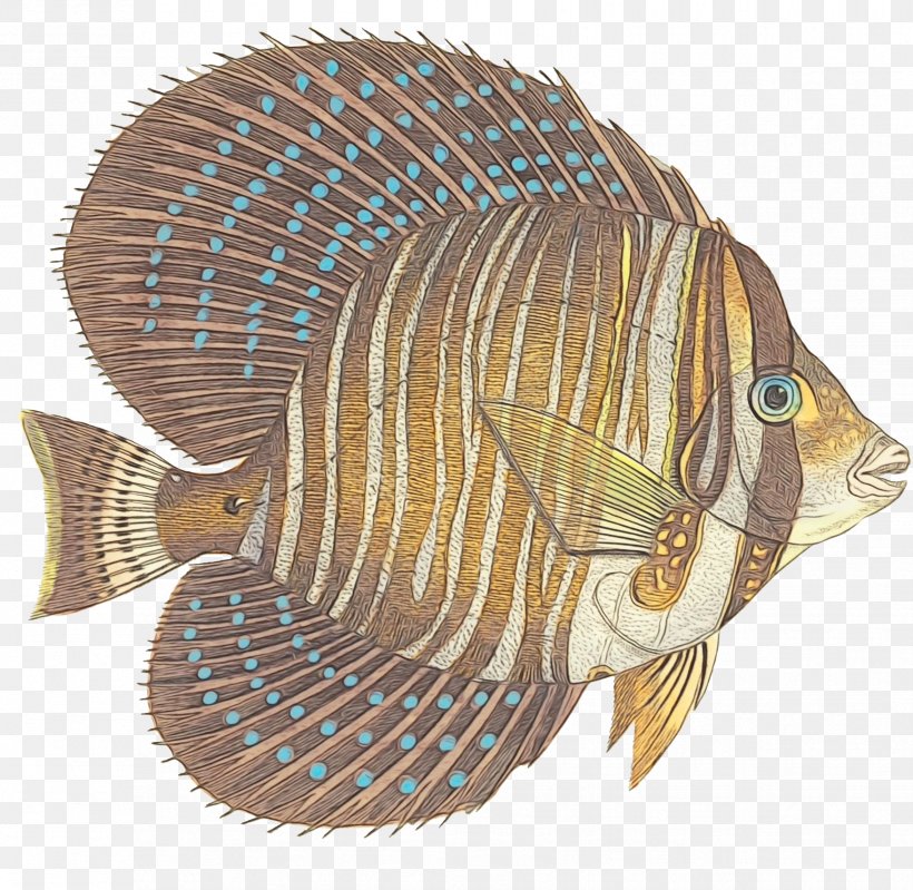 Fish Fish Tilapia Butterflyfish Bony-fish, PNG, 1756x1713px, Watercolor, Bonyfish, Butterflyfish, Fish, Paint Download Free