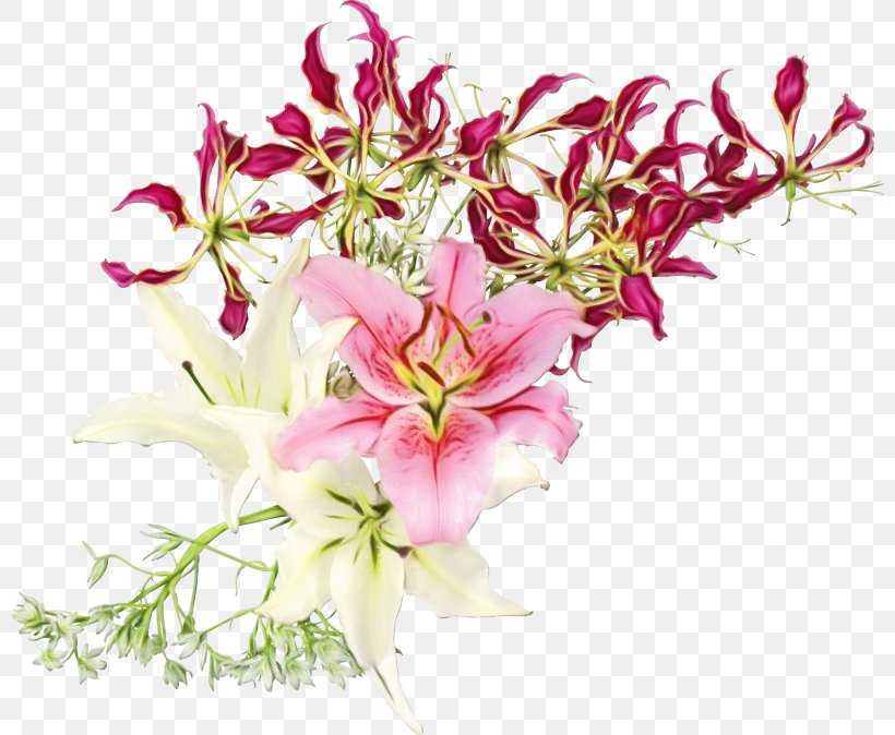 Floral Design Cut Flowers Flower Bouquet Publication, PNG, 800x674px, Floral Design, Artificial Flower, Botany, Bouquet, Brazil Download Free