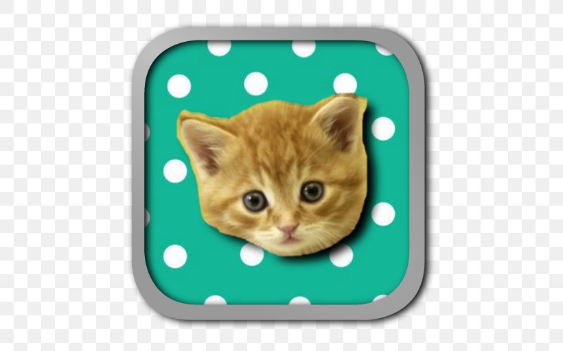 Kitten Toyger Persian Cat Exotic Shorthair Burmese Cat, PNG, 512x512px, Kitten, Animal, Breed, Burmese Cat, Carnivoran Download Free