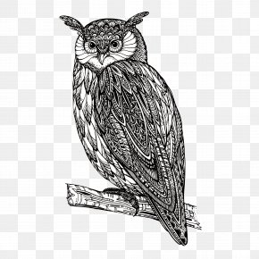 Owl - Owl Royalty-free PNG
