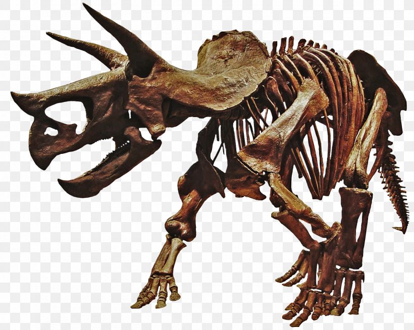 Tyrannosaurus Hell Creek Formation Torosaurus Dinosaur Styracosaurus, PNG, 1505x1201px, Tyrannosaurus, Bone, Dinosaur, Extinction, Fossil Download Free