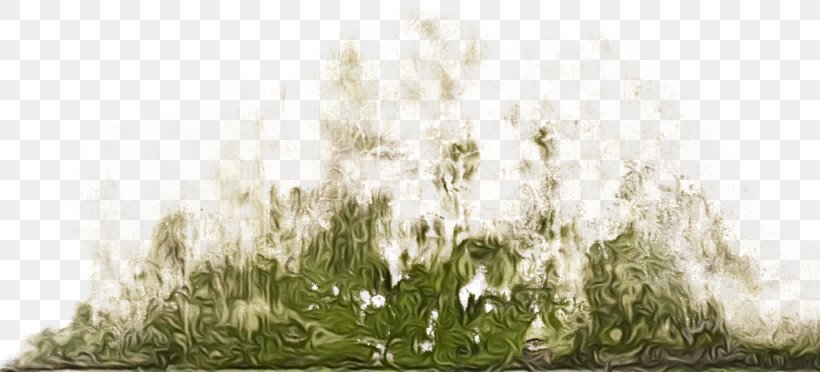 Family Tree Background, PNG, 1024x465px, Watercolor, Branching, Flower, Grass, Grass Family Download Free