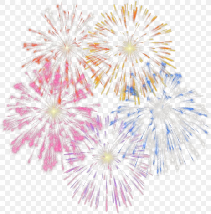Fireworks Clip Art, PNG, 1479x1500px, Fireworks, Chrysanths, Firecracker, Flower, Flowering Plant Download Free