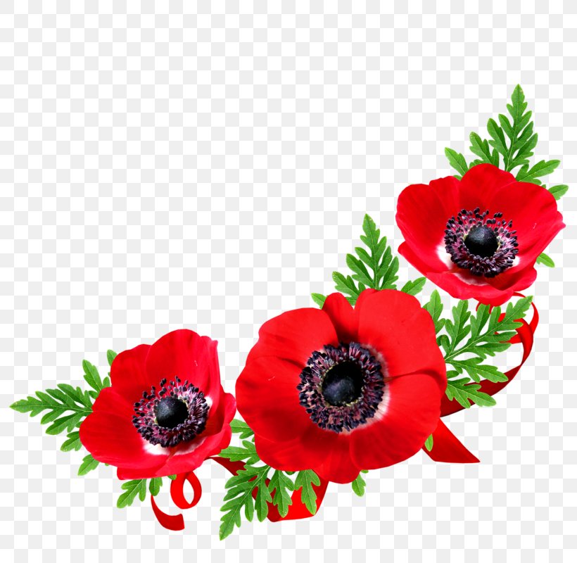Freemasonry Square And Compasses Clip Art, PNG, 800x800px, Freemasonry, Anemone, Armistice Day, Artificial Flower, Cut Flowers Download Free