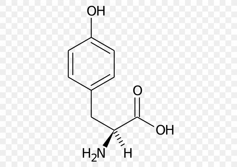Protein Tyrosine Phosphatase Molecule CAS Registry Number Protocatechuic Acid Chemical Compound, PNG, 2000x1414px, 4aminobenzoic Acid, Protein Tyrosine Phosphatase, Acid, Amino Acid, Area Download Free
