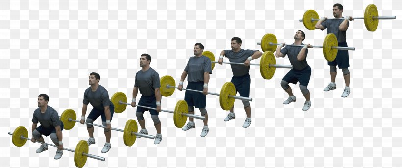 Squat Olympic Weightlifting Clean And Jerk Deadlift Strength Training, PNG, 6218x2604px, Squat, Barbell, Bench Press, Business, Clean And Jerk Download Free