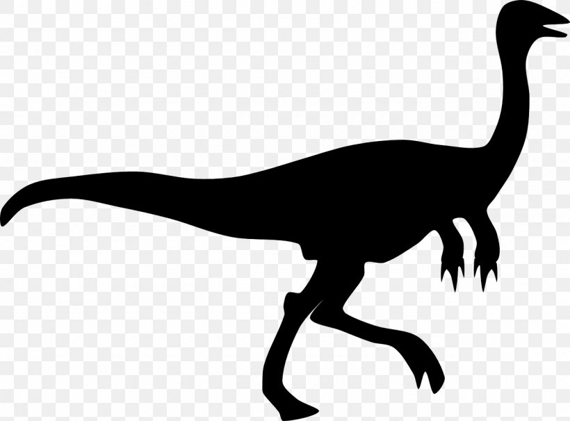 Velociraptor Tyrannosaurus Dinosaur Gallimimus, PNG, 1280x946px, Velociraptor, Beak, Bird, Black And White, Dinosaur Download Free