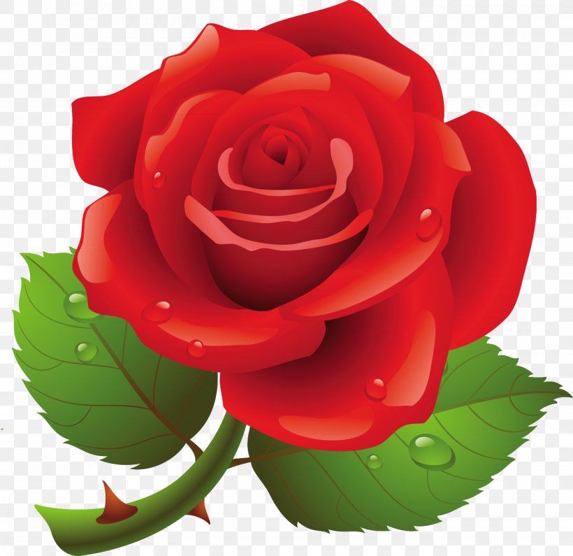 Black Rose Clip Art, PNG, 1353x1313px, Rose, Black Rose, China Rose, Cut Flowers, Floribunda Download Free