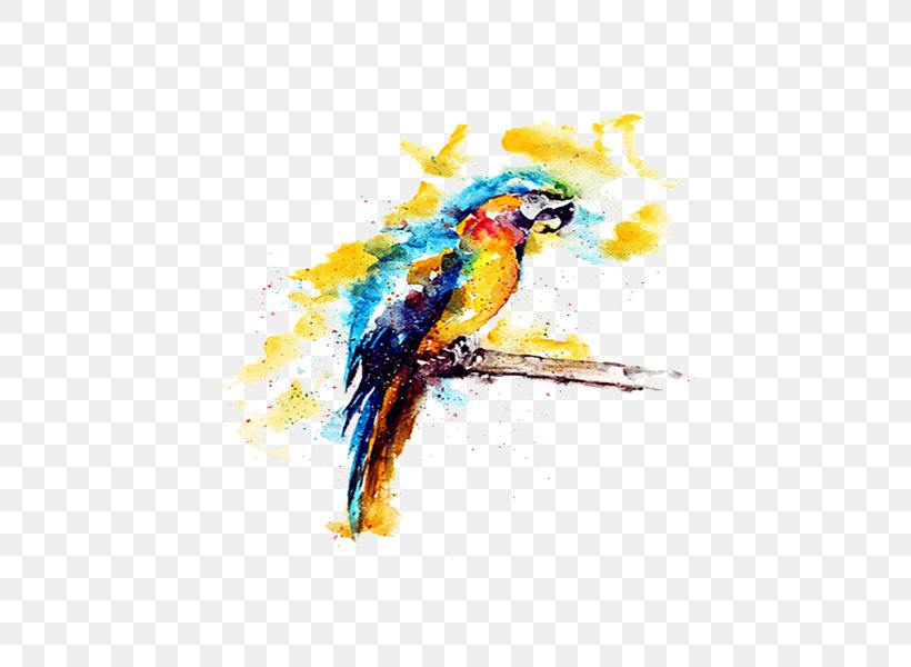 Budgerigar Parrot Watercolor Painting Illustration, PNG, 500x600px, Budgerigar, Beak, Bird, Bird Supply, Common Pet Parakeet Download Free