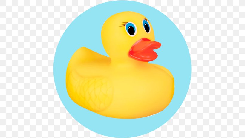 Duck Beak Clip Art, PNG, 463x463px, Duck, Beak, Bird, Ducks Geese And Swans, Water Bird Download Free
