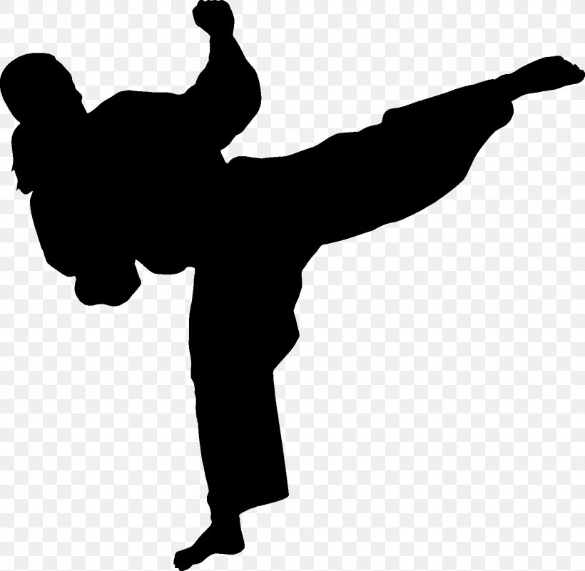 Martial Arts Karate Silhouette Wall Decal Combat, PNG, 1600x1564px, Martial Arts, Arm, Black And White, Chinese Martial Arts, Combat Download Free