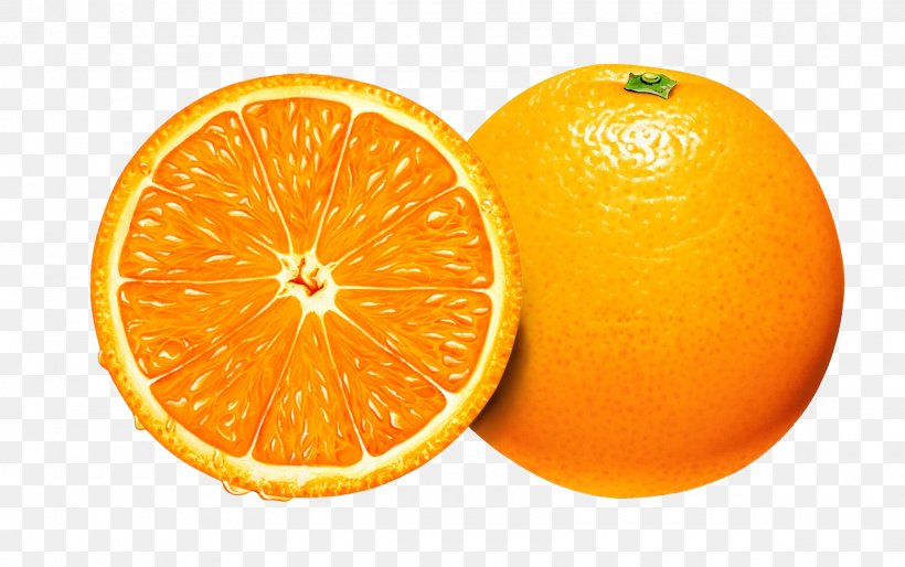 Orange Clip Art, PNG, 1600x1003px, Orange, Bitter Orange, Citric Acid, Citrus, Clementine Download Free