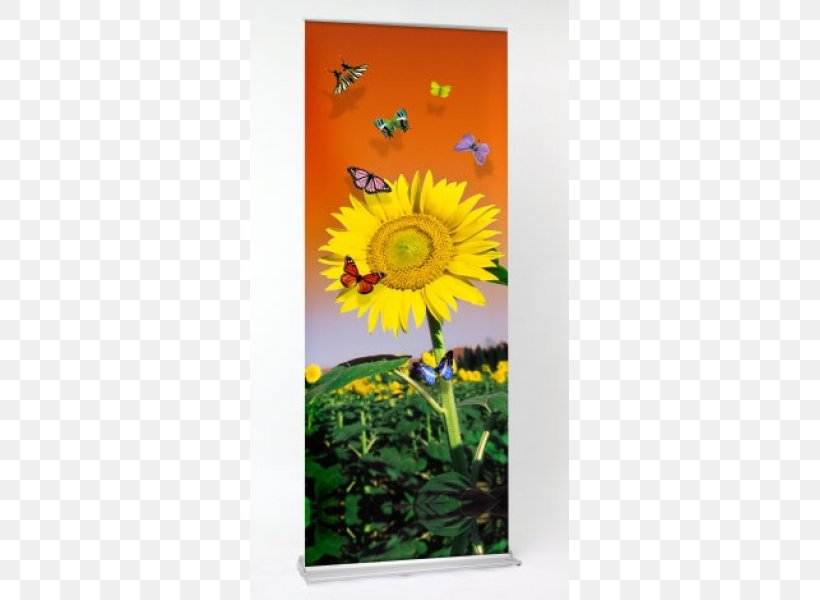 Printing Web Banner Advertising, PNG, 600x600px, Printing, Advertising, Banner, Billboard, Daisy Family Download Free
