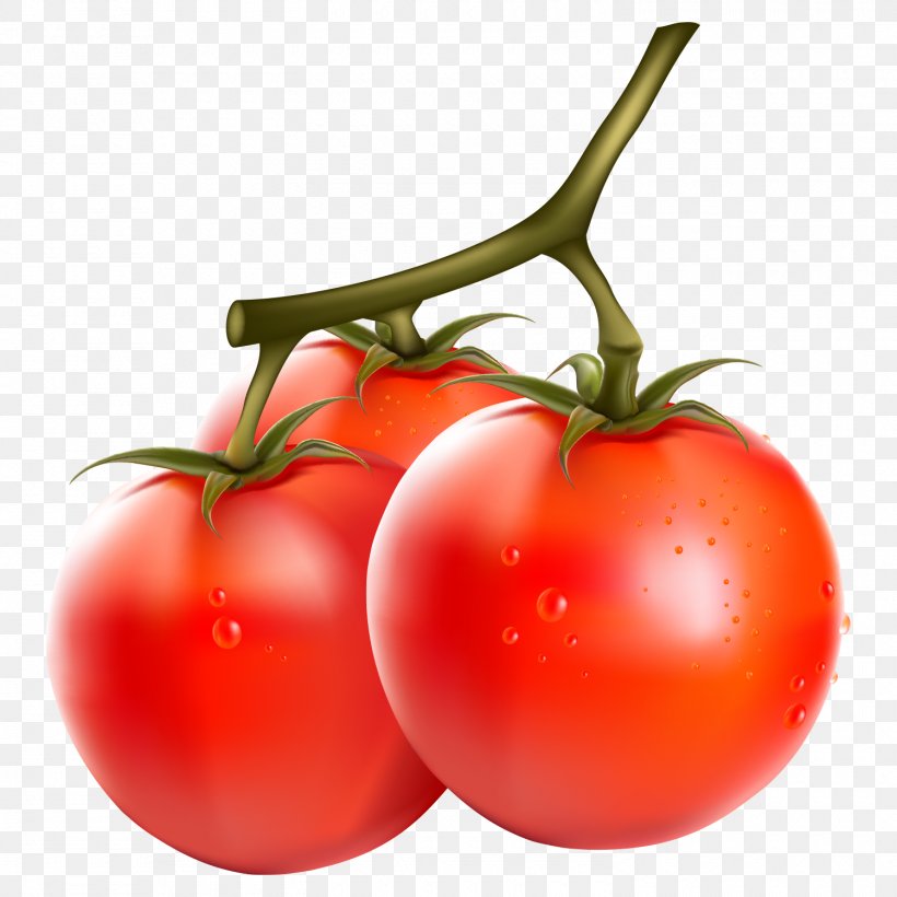 Vegetarian Cuisine Vegetable Clip Art Fruit Vector Graphics, PNG, 1500x1500px, Vegetarian Cuisine, Apple, Bush Tomato, Cherry Tomato, Diet Food Download Free