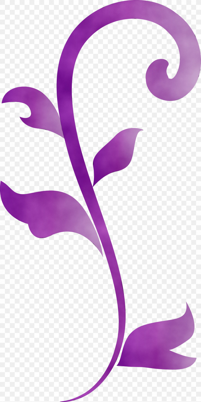 Violet Purple Lilac Magenta Plant, PNG, 1497x2999px, Flower Frame, Floral Frame, Lilac, Magenta, Paint Download Free