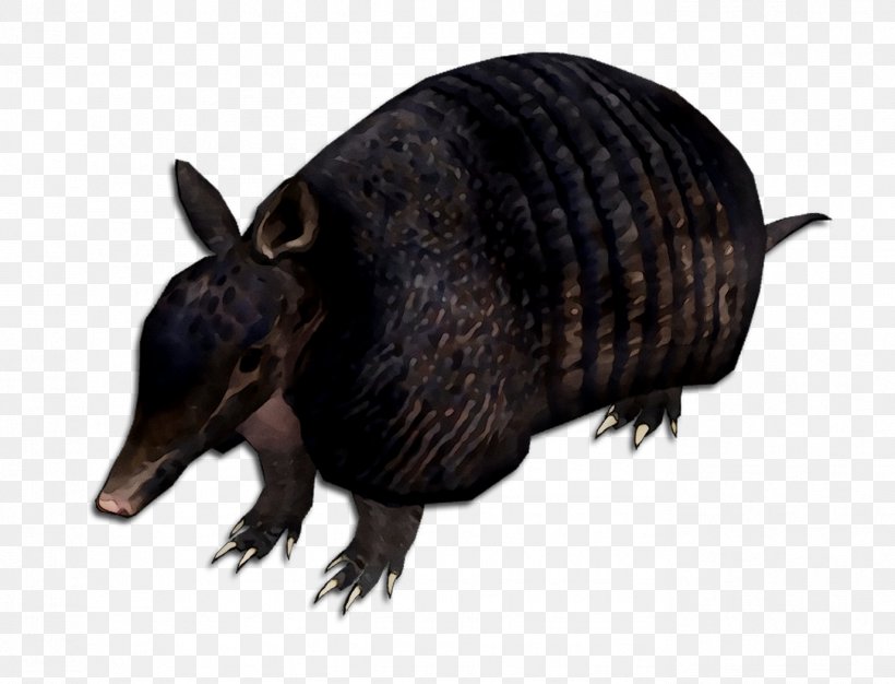 Armadillo Fauna Terrestrial Animal Snout, PNG, 1378x1053px, Armadillo, Animal, Animal Figure, Cingulata, Fauna Download Free