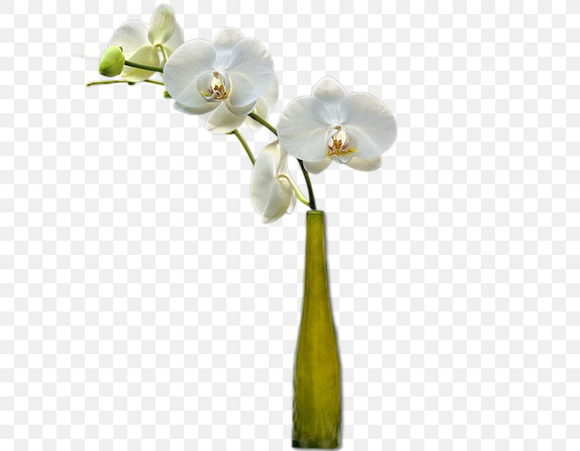 Flower Vase Painting, PNG, 642x637px, Flower, Albom, Cut Flowers, Drawing, Floral Design Download Free