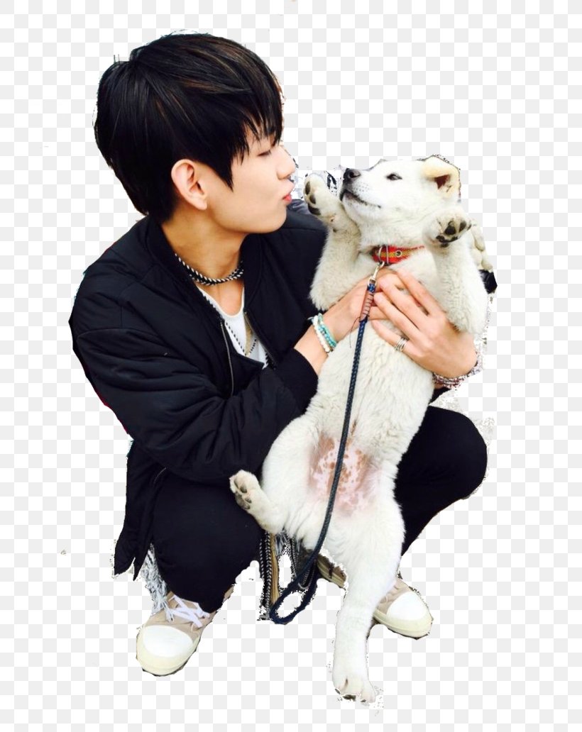 Kim Taehyung BTS Black Hair K-pop Human Hair Color, PNG, 774x1032px, Kim Taehyung, Bighit Entertainment Co Ltd, Black Hair, Bts, Color Download Free