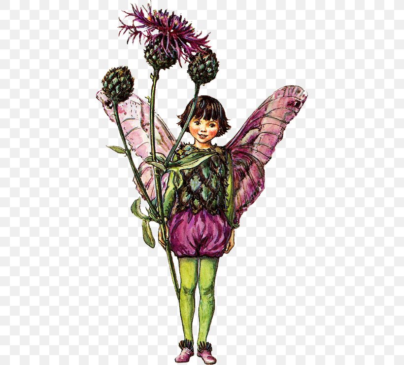 The Book Of The Flower Fairies Tooth Fairy Fairy Tale, PNG, 430x740px, Book Of The Flower Fairies, Brush Footed Butterfly, Butterfly, Cicely Mary Barker, Costume Design Download Free