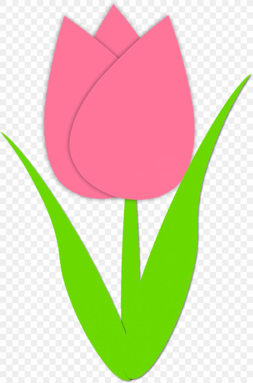 Tulip Download Clip Art, PNG, 830x1255px, Tulip, Art, Document, Flower, Flowering Plant Download Free