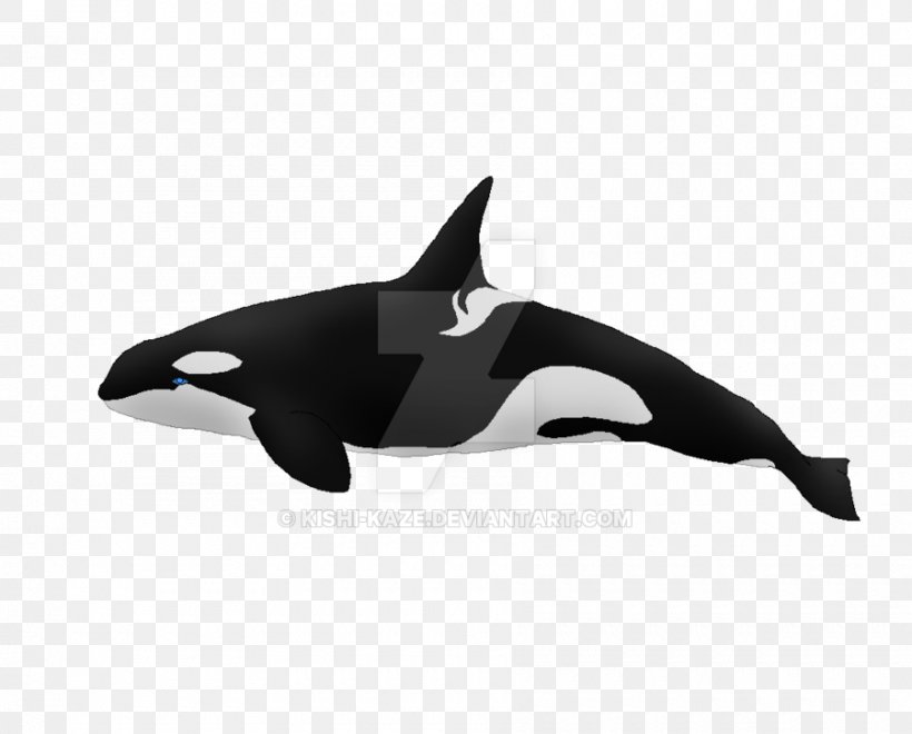 Whale Cartoon, PNG, 900x725px, Killer Whale, Animal, Animal Figure, Beluga Whale, Cetacea Download Free