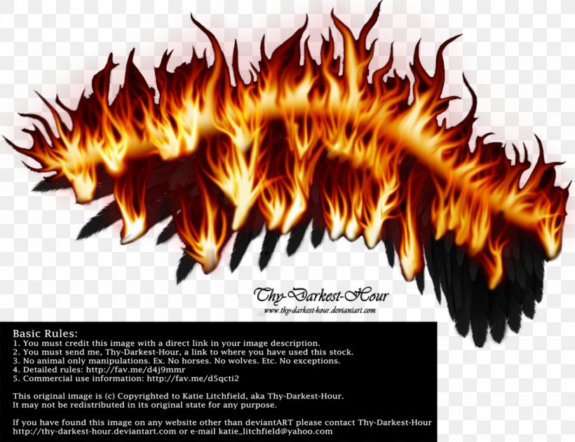 Cool Flame Wing, PNG, 1280x986px, Flame, Cool Flame, Fire, Organism, Wing Download Free