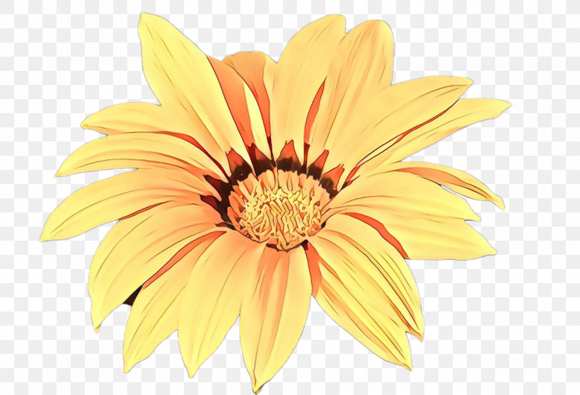 Gerbera Petal Flower Yellow Barberton Daisy, PNG, 2424x1651px, Gerbera, African Daisy, Barberton Daisy, Daisy Family, Flower Download Free