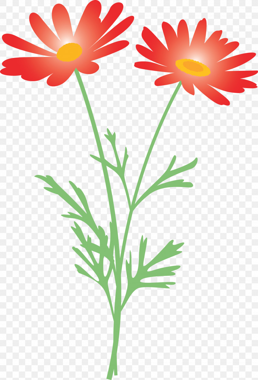 Marguerite Flower Spring Flower, PNG, 2037x2999px, Marguerite Flower, Camomile, Chamomile, Cut Flowers, Daisy Download Free