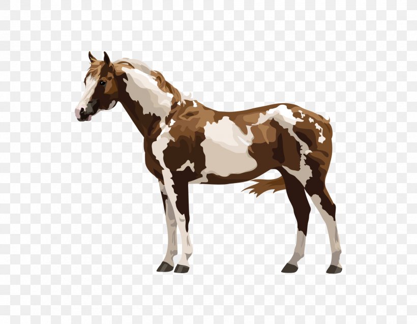 Mustang Arabian Horse Mule Foal Stallion, PNG, 1800x1400px, Mustang, Animal Figure, Arabian Horse, Breyer Animal Creations, Colt Download Free