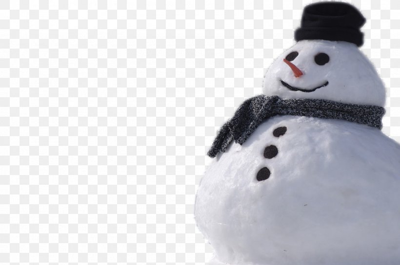 Snowman Clip Art, PNG, 1600x1064px, Snowman, Christmas, Snow, Winter Download Free